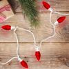 Northlight 25 Count Red LED C9 Christmas Lights, 16 ft White Wire