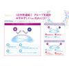 アベオ ワンデー 30枚入り 【BC】8.6 【PWR】-8.00
