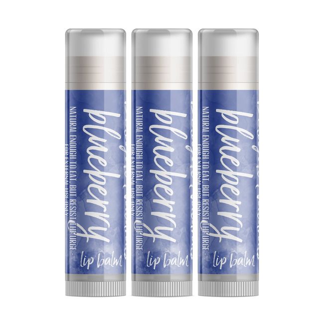 Delight Naturals Blueberry Lip Balm - Set of Three