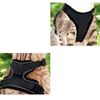 Dwg Escape-Proof Cat Kitten Harness with Leash Set, XS Black