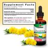 Nature's Answer Dandelion Root Extract 2 Oz – Low Organic Alcohol, Detox & Liver Support Supplement – Made in USA, Kosher, Gluten Free – Dandelion Root Supplement