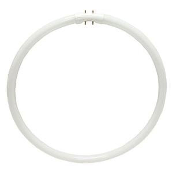 Sylvania 20732 - FPC40/835 Circular T5 Fluorescent Tube Light Bulb