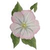 Iris Flower Field Bindweed Embroidered Iron on/Sew Patch [ 7.45 "(w) x 5.86"(h) ]
