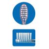 Ci Risera Value Toothbrush MS 10 Pcs Dental Clinic