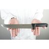 DOLOMITEN INOX 10" Steak Knife