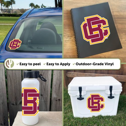 Desert Cactus Bethune-Cookman University Sticker Wildcats Vinyl Decal Laptop Water Bottle Car Scrapbook (IND 00001)