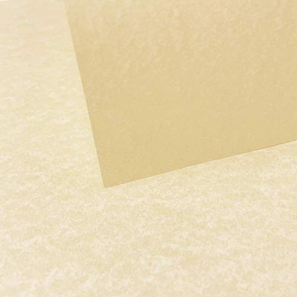 Sabbia Marina Parchment Paper 90gsm - A3 8 Sheets