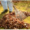 Bamboo Hand Rake 46-005 Until Bamboo