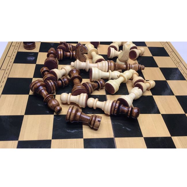 Folding Wooden Chess Set Rules Cards Storage Family Board Game for Adults  Kids