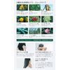 Pure Bar Wan Herbal Shampoo Bar, Smooth, High Purity Beauty Ingredients, Solid Shampoo, Shampoo Bar, Amino Acids, Botanical, Non-Silicone