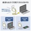Sanwa Supply ACA-PD93BK USB PD Compatible AC Charger with PD100W Type C Cable