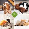 Lillis Naturals Hundeshampoo (Pumpdeckel)