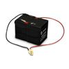 Razor e100/e125 Battery -for e100/e125 Versions 8 & 9 W13111260003