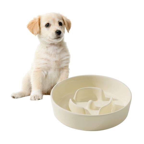 Havniva Ceramic Slow Dog Feeder Bowl for Small Dog, Slow Dog Food Bowl Small, Slow Dog Water Bowl, Pet Slower for Fun, Stop Bloat, Preventing Choking (1 x Cream White, 6inch)