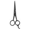 HALO FORGE Professional Mustache & Beard Scissors: Small Sharp Stainless Steel Beard Shears For Men Personal Care Precision Trimming Mustache, Facial Hair, Eyebrow, 5.5 Inch (Black)