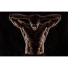muscle gainer - CREATINE TRI-PHASE 1B - creatine bulk supplements