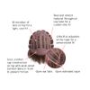 HAIRDO Textured Cut Wig Chestnut R10