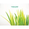 ZEUP 920928 Leaf POOLEAF Spring Green Rollerball Pen