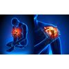 Energy booster - ADVANCED PAIN RELIEF -1 Bottle - holy basil leaf extract
