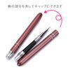 10 Pcs Gel Nail Brushes with Caps Nail Art Brushes Gel Art Brushes Scalp 3D Nail Brush Set