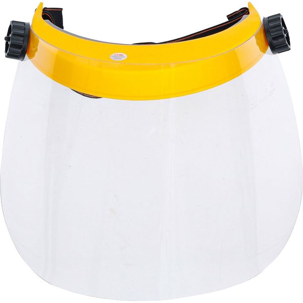 BGS 3703 | Face Shield | transparent