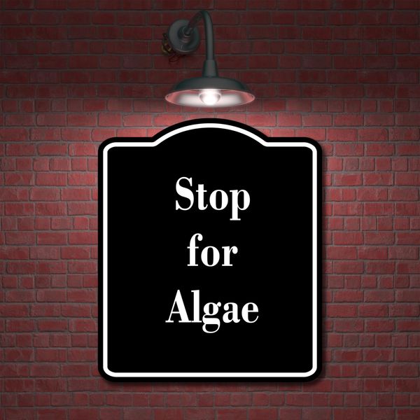 Stop for Algae BLACK Aluminum Composite Sign 20''x24''
