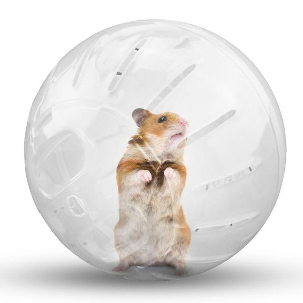 Hamster Exercise Ball Silent Hamster Wheel Small Animals Transparent Ball for Dwar Rat Relieves Boredom and Increases Activity (4.8 inch, Clear)