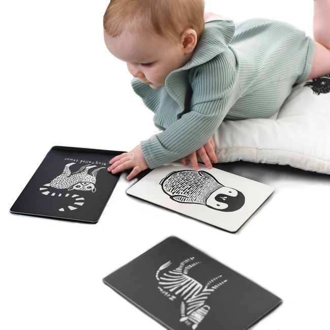 Wee Gallery Black and White Art Flash Cards for Babies, High Contrast Educational Animal Picture Cards, Baby Visual Stimulation, Brain and Memory Development in Infants and Toddlers - B&W Animals