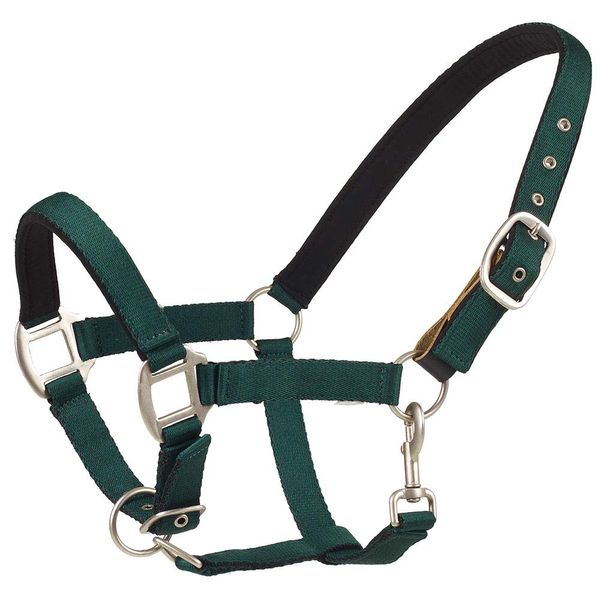 Centaur Solid Cushion Padded Breakaway Halter (Hunter Green, Cob)