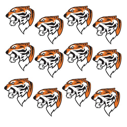 Anderson's 100-Piece Tiger Head Body Decal Set, Tattoos, Cheek Cheers, Fan Gear, Sports Fan Gear,School Spirit, Football Cheerleader Accessories, Homecoming