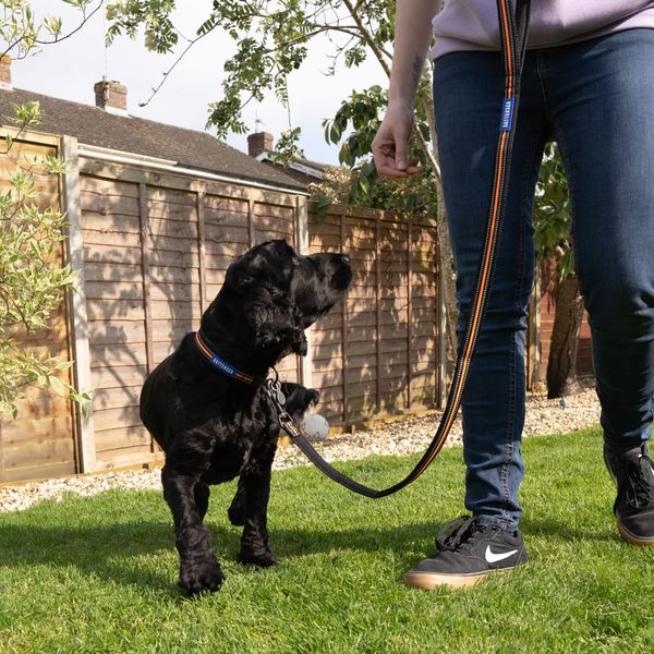 Battersea Reflective Dog Lead Orange 110 cm