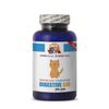 digestive aid for cats - CAT DIGESTIVE AID - digestive support for cats 1B
