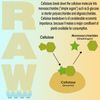 RAW Enzymes Premium Uncut Water-Soluble Fertilizer, 2oz