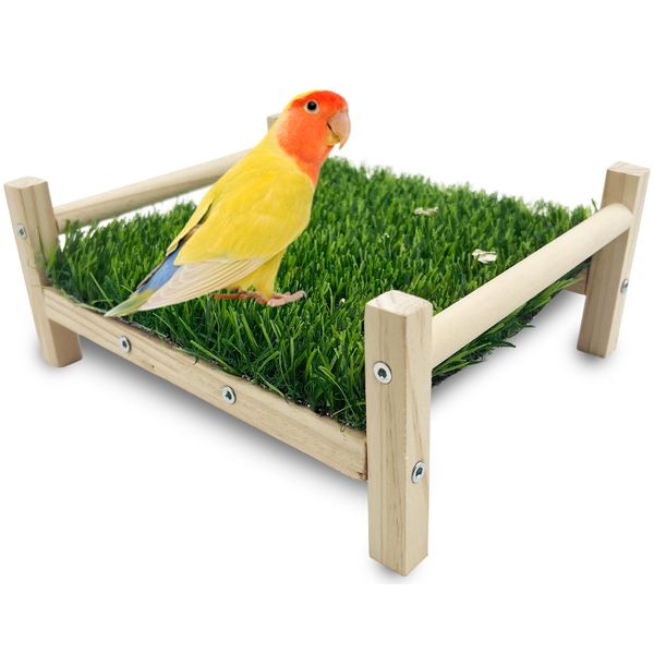 FlidRunest Bird Foraging Bed, Parrot Hammock Bed, Parrot Grass Perch Bed, Bird Perch Conure Platform Grass Forage Toy for Parakeet, Parrot, Cockatiel, Lovebird, Budgie