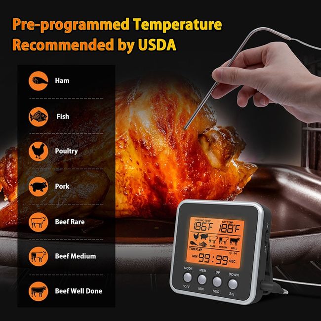 Digital Electronic Kitchen Food Thermometer with Timer for Meat Oven -  China Meater, Candy Thermometer