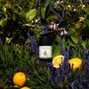 Each & Every 2-Pack Natural Aluminum-Free Deodorant for Sensitive Skin with Essential Oils, Plant-Based Packaging (Lavender & Lemon, 2.5 Ounce (Pack of 2))