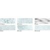 HIGHLIGHT 215G. 50x70CM, 10BG. SILBER PAILLETTEN