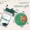 Micro Ingredients Organic Chlorella Powder 10oz 09/26