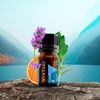 Vintari Essential Oil Blend 5ml. (Think)