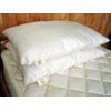 Wooley "Down" Bed Pillow by Holy Lamb Organics