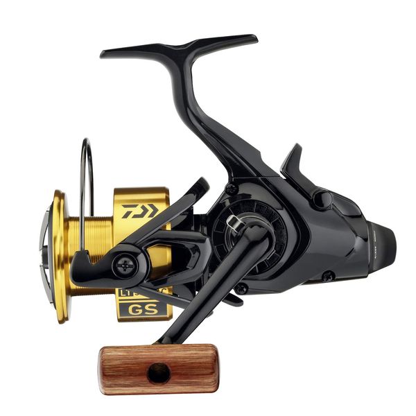 Daiwa 20 GS BR LT 3000