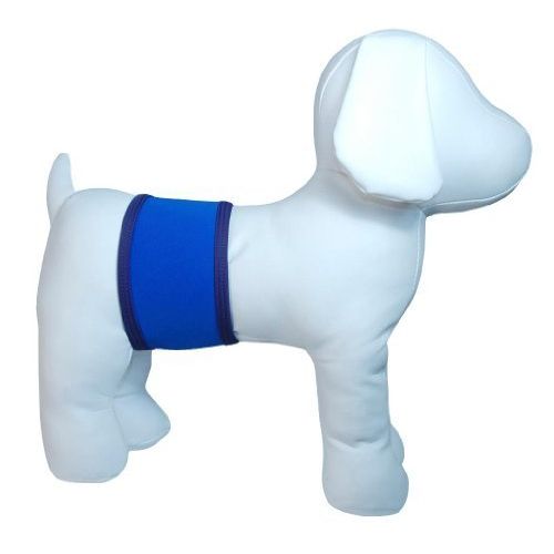 PlayaPup Male Dog Belly Band, Royal, Small