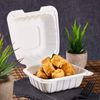 250-Pack Plastic Clamshell Take Out Food Hinged Container Heavy Duty Disposable