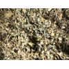 No.23 Herb Mix Osha Lobelia Mull Colts Catnip Raspberry Mint Leaf  1/8 oz 