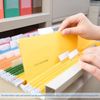 File Folder Tabs, Insertable Plastic Tabs Hanging Folder Tabs,100 Pcs Hanging File Folder Tabs with 200Pcs Inserts for Hanging Folders (Clear)