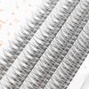 LASHIDOL Partial False Eyelashes, Pine Exk, Self False Eyelashes, Natural, Popular, DIY, Easy Eyelashes, 0.4 - 0.5 inches (9 - 12 mm) (Cherry Blossom) (Fishtail Eyelashes, Black)