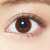 Erge Tomé 2WEEKS Smooth Brown -0.75 Pack of 6