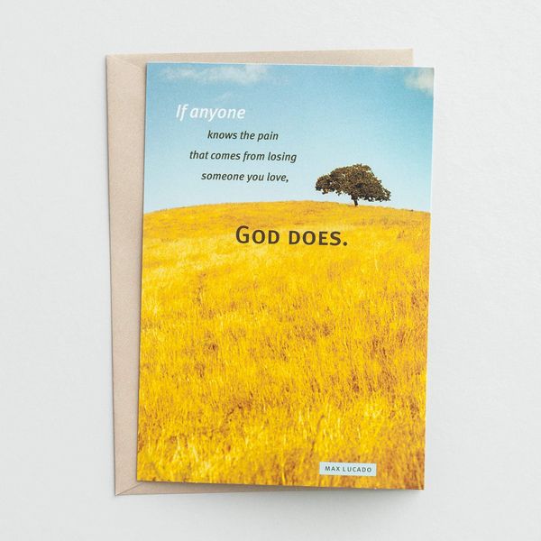 DaySpring - Max Lucado - God Knows Your Pain - 6 Premium Sympathy Cards with Envelopes, TLB