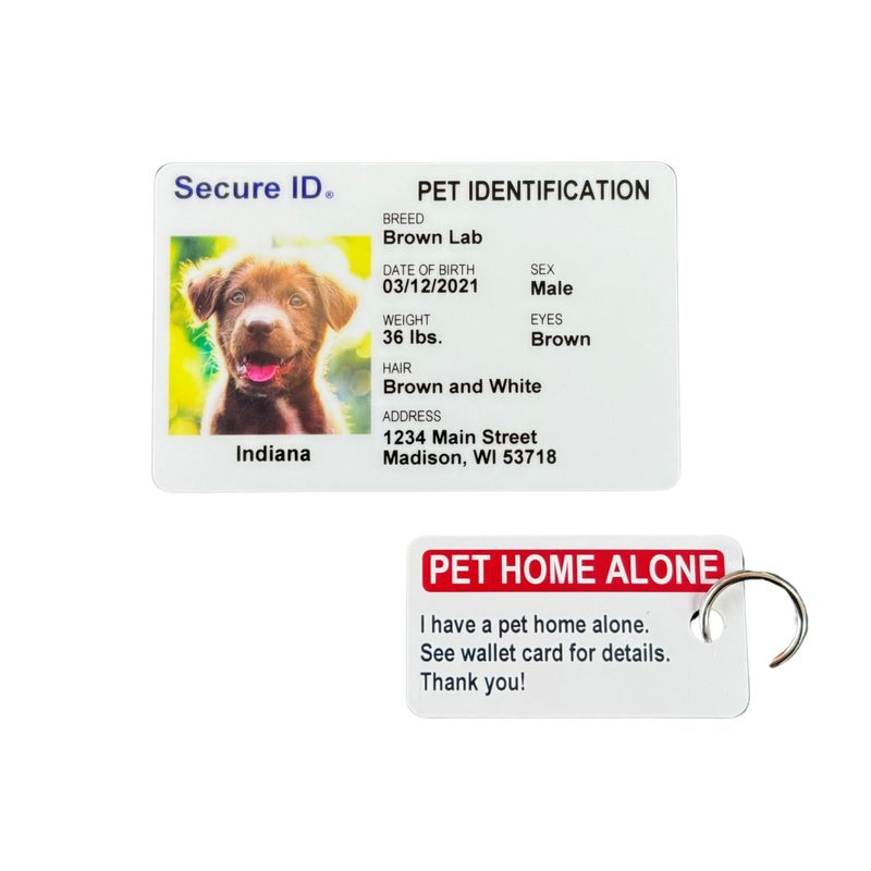 Pet ID Card Pet Identification Card Dog ID Cat ID Emergency Animal Card ...