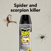Raid Max Spider and Scorpion Killer, Kills Spiders, Scorpions, Roaches, Ants, Waterbugs, Earwigs, 12 Oz
